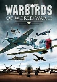 Железные птицы Второй Мировой войн — War Birds Of World War II